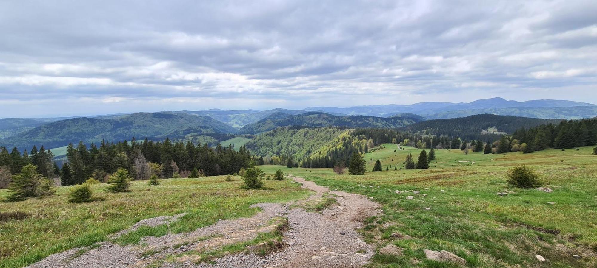 Haus Anna-Marie Apartment Feldberg  Bagian luar foto