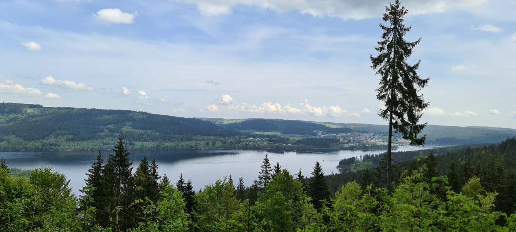 Haus Anna-Marie Apartment Feldberg  Bagian luar foto